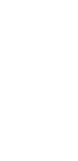 Pinterest ha iniziato da tempo una marcia di avvicinamento alle funzioni  shoppable  con il lancio prima dei Product    