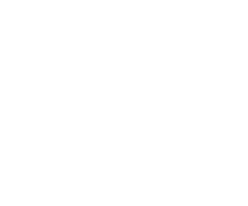 L importanza del programma fedelt  MileagePlus per United Airlines click to enlarge