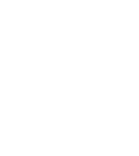 Versione testuale ottimizzata per lettura su dispositivi mobili cellulari