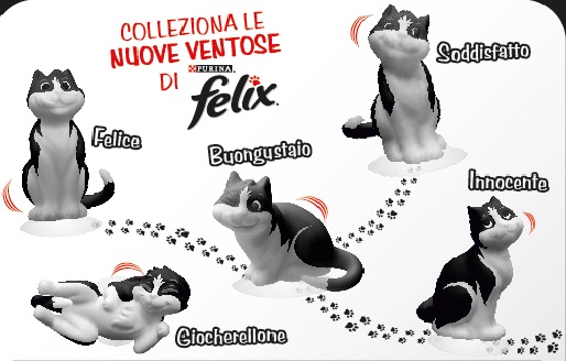 Una collezione per gli amanti dei gatti