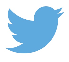 L’uso professionale e aziendale di Twitter