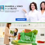 Concorsi Soffas brand Regina
