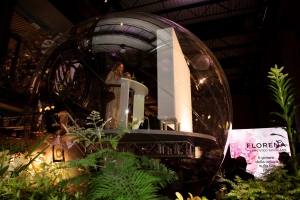 La immersive temporary exhibiton per Florena Fermented Skincare