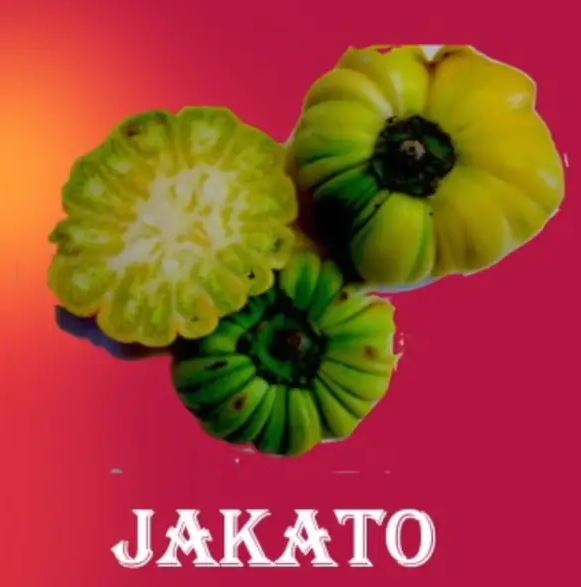 Jakato