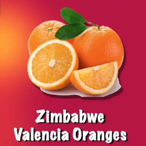 Zimbabwe Valencia oranges