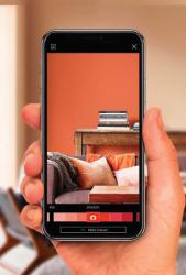 App Dulux