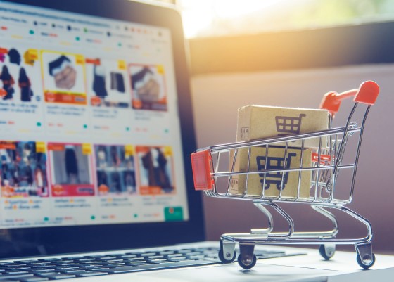 Si può cavalcare l’ecommerce per aumentare le vendite e fare profitti