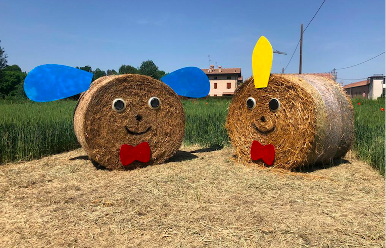 Molini Pivetti fa adottare un campo di grano dai bambini