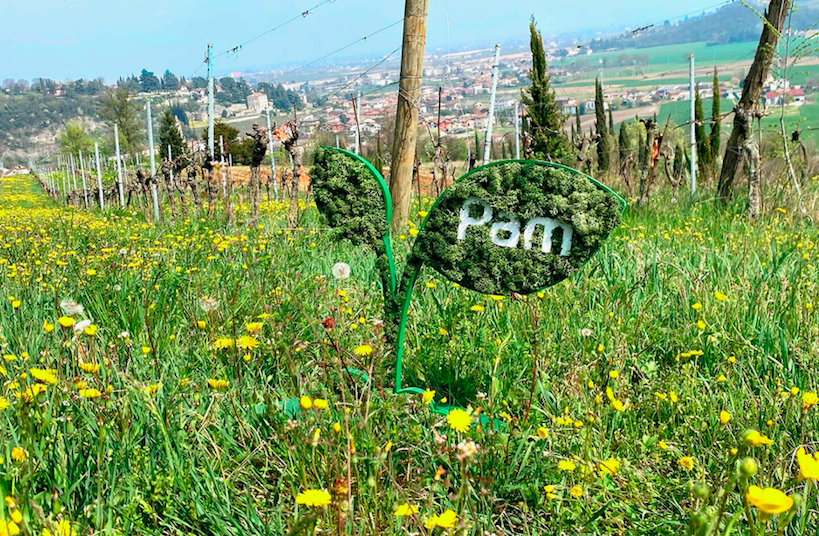 Pam Panorama dà il via a iniziative di responsabilità sociale per le giovani generazioni