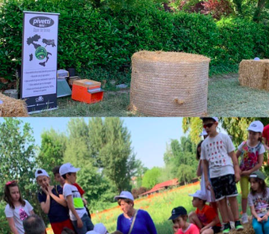 Al via la sesta edizione di “Adotta un campo di grano” di Molini Pivetti